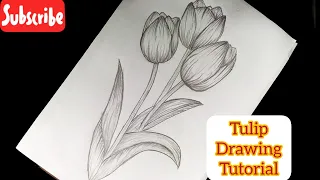 Easy Tulips Drawing For Beginners || Flower Drawing