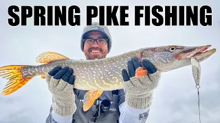 Spring Pike Fishing