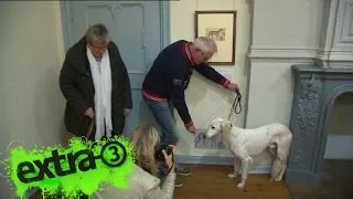 Realer Irrsinn: Kunstausstellung für Hunde  | extra 3 | NDR