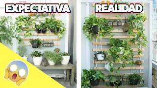 Cómo hacer un jardín en la pared únicamente en 3 simples pasos