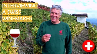 IS SWISS WINE ANY GOOD? Talking to a Swiss winemaker | Vendanges 2021 at the famous Lavaux vineyards