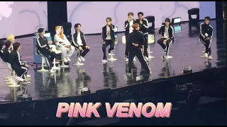 [세븐틴 도겸] 230311 캐랜 안어울리는 노래 PINK VENOM  | SEVENTEEN in CARATLAND