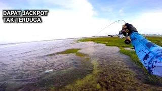 LANGSUNG PANIK..!! Reel Menjerit Ketika Ikan Jackpot Menyambar Umpan Saya - ULTRALIGHT FISING