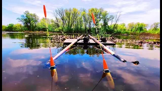 Чорні Болотяні Карасі🐟🐟🐟 Лісового Озера. Рибалка на Поплавок.