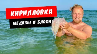 Кирилловка. Медузы и блохи есть! Цены в Кирилловке. Море, пляж, жилье. Отдых в Кирилловке