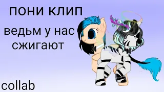 PMV/пони клип ведьм у нас сжигают [collab]