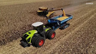 LEXION 760TT Corn Harvest Teaser