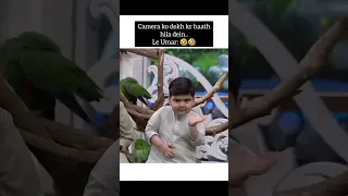 Umar Shah " camera kr dekh kr haath hila dein 🤣🤣 le Umar 😎 #umershah #waseembadami #youtube #short