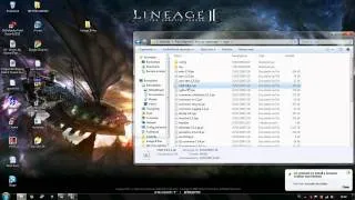 Lineage 2 server problem