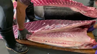 Разделка гигантского  тунца - Тайваньская кухня ENG SUB