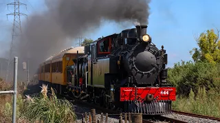 Frankton Steam Shuttles with Ww644 - March 2024