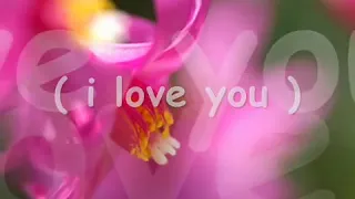 I Honestly Love You by Olivia Newton John ..-*87A87..-*