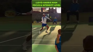 LLOYD HARRIS HIGH FOCUS & INTENSITY IN TENERIFE CHALLENGER #shorts #tennis