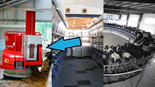 Innovation in the Dairy Industry: The Role of Technology