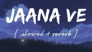 Jaana ve [ Slowed + reverb ] - Lofi remix - Arjit singh || Wild waves 🖤