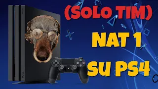 Come ottenere NAT TIPO 1 su ps4 (TIM)