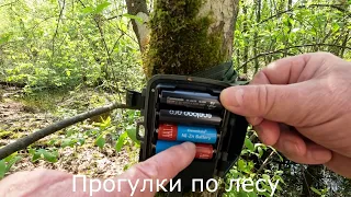 Прогулки по лесу | Проверяю фотоловушку MINI301.  Есть видео, но нет карты для замены.