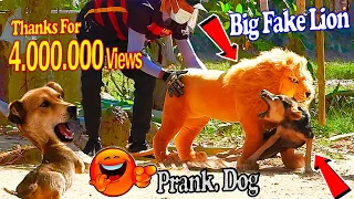 Big Fake Lion vs Prank Dogs - Must Watch Funny Video Will Make You Lough