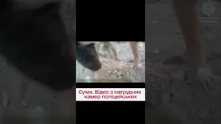 😨 Перші хвилини після ракетного удару по Сумах! Відео з камер Поліції