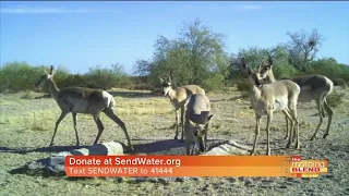 Give water to our struggling desert animals during this drought.