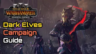 Dark Elves Legendary Campaign Survival Guide - Total War: Warhammer 3 Immortal Empires