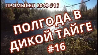 ПРОМЫСЕЛ 2018. НАВОДНЕНИЕ В ДИКОЙ ТАЙГЕ. #16.