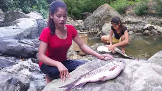 Wow Big Fish! Catching Fish from river and boiling fish soup for lunch + 6 More Cooking Videos