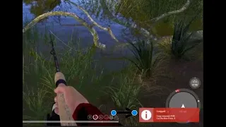 How to deal with snags in Russian Fishing 4