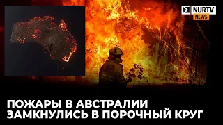 Пожары в Астралии замкнулись в порочный круг