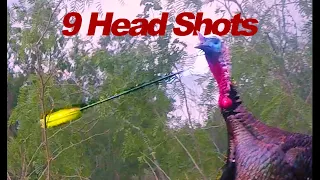 Turkey "HEAD SHOTS", BOW!!