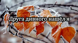 Друга дивного нашёл я| Источник хвалы № 47 | Караоке плюс | Христианские песни |Гимны надежды