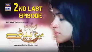 Meri Beti 2nd Last Episode 25 | Arij Fatima | Sabreen Hisbani | ARY Digital