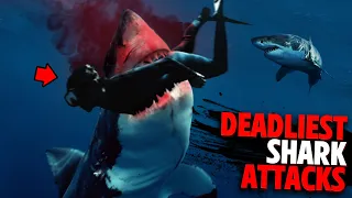 Deadliest Shark Attacks of 2022 MARATHON!