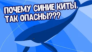 Почему мертвые синие киты могут быть так опасны для человека?|Узнай и Ты!