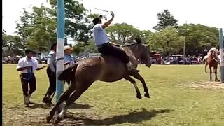 VIDEO OF JINETEADA GUSTAVO JACOBO PARTY OF THE FRIENDSHIP OF RICARDO PUCHETA, SAUCE, CORRIENTES