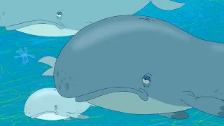 Zig & Sharko 🐳 WHALES 🐳 The biggest fish 2020 🐋🌊 Cartoons for Children
