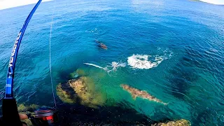 Bigla Lang Lumabas Takot Na Takot sa.. | Penn Fierce IV Field Test | Palawan Philippines