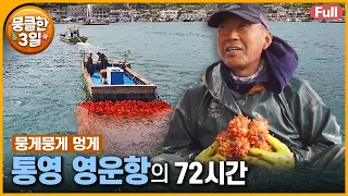 [풀영상] 붉은 멍게 꽃 활짝 필 무렵 🌸 멍게에 울고 웃는 어민들의 이야기 🐚 다큐3일 ‘통영 영운항’ | KBS 방송