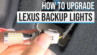 2010 Lexus RX 350 Backup Light Bulb Upgrade | 120,000 Mile Update