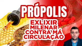 Remédio natural para veia entupida por coágulos sanguíneos e má circulação: verdades sobre própolis