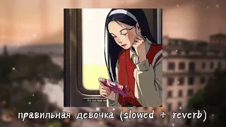 правильная девочка (slowed + reverb)