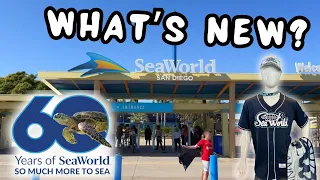 SEAWORLD UPDATE: What's New at SeaWorld San Diego - Wait Times, Upcoming Events & Construction.