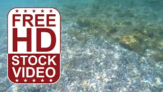 Free Stock Videos – underwater footage pebbles rocks with seaweed GoPro footage 60fps