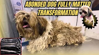 ABONDED DOG WORST CONDITION FULLY MATTED😰 | HOW TO GROOM DOG AT HOME TIPS | SHIH TZU GOOMING | DOG