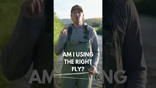 How to Catch More Fish on Dry Flies [Fly Fishing Tip]