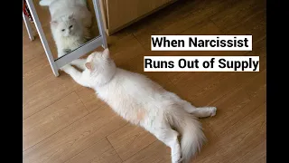 When Narcissist Runs Out of Supply (Self-supply Compilation)