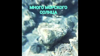 Отличного морского  отпуска