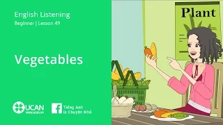 Learn English Via Listening | Beginner: Lesson 49. Vegetables