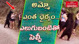 Viral Video: Woman Selfie With Black Bear | Bear approaches woman in ecological park |Samayam Telugu