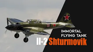 Il-2 Shturmovik - The secret of the immortal flying tank of the Soviet Air Force